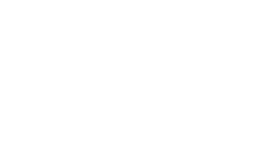 Vertria Lumini